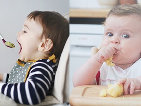 Getting started traditional and baby-led weaning Getting started traditional and baby-led weaning