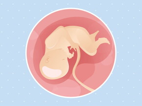pregnancy week34 temporary pregnancy week34 temporary