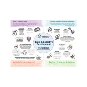 Brain & Cognitive Development