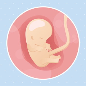 pregnancy week10 temporary pregnancy week10 temporary