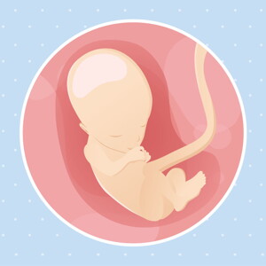 pregnancy week13 temporary pregnancy week13 temporary