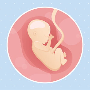 pregnancy week17 temporary pregnancy week17 temporary