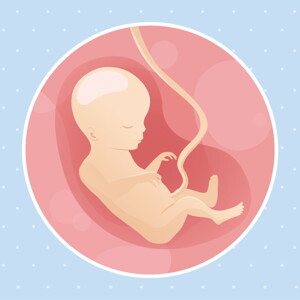 pregnancy week18 temporary pregnancy week18 temporary