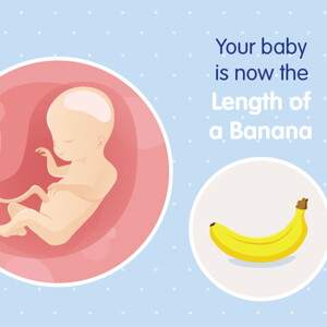 pregnancy week20 temporary pregnancy week20 temporary