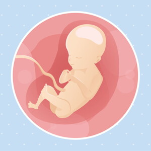 pregnancy week21 temporary pregnancy week21 temporary