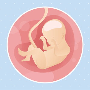 pregnancy week24 temporary pregnancy week24 temporary