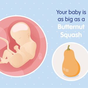 pregnancy week29 temporary pregnancy week29 temporary