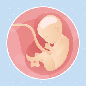 pregnancy week30 temporary pregnancy week30 temporary