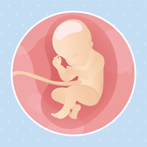 pregnancy week31 temporary pregnancy week31 temporary