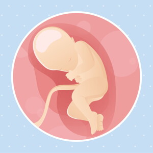 pregnancy week32 temporary pregnancy week32 temporary
