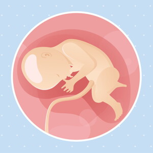 pregnancy week33 temporary pregnancy week33 temporary