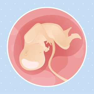 pregnancy week34 temporary pregnancy week34 temporary