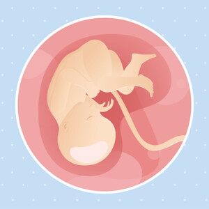 pregnancy week35 temporary pregnancy week35 temporary