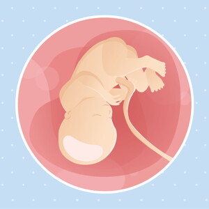pregnancy week36 temporary pregnancy week36 temporary