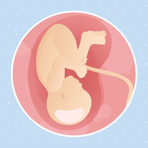 pregnancy week38 temporary pregnancy week38 temporary