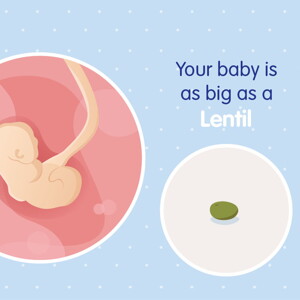 pregnancy week4 temporary pregnancy week4 temporary
