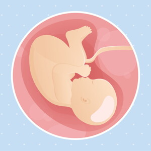 pregnancy week40 temporary pregnancy week40 temporary