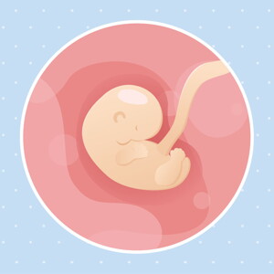 pregnancy week6 temporary pregnancy week6 temporary