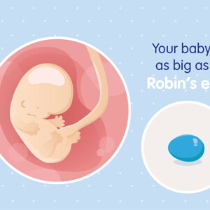 pregnancy week8 temporary pregnancy week8 temporary