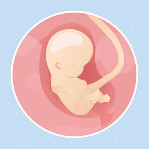 pregnancy week9 temporary pregnancy week9 temporary