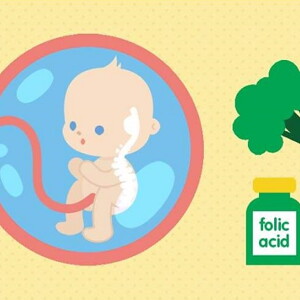 Teaser Diet during pregnancy_03_ACT_5 of the top nutrients_900px Teaser Diet during pregnancy_03_ACT_5 of the top nutrients_900px