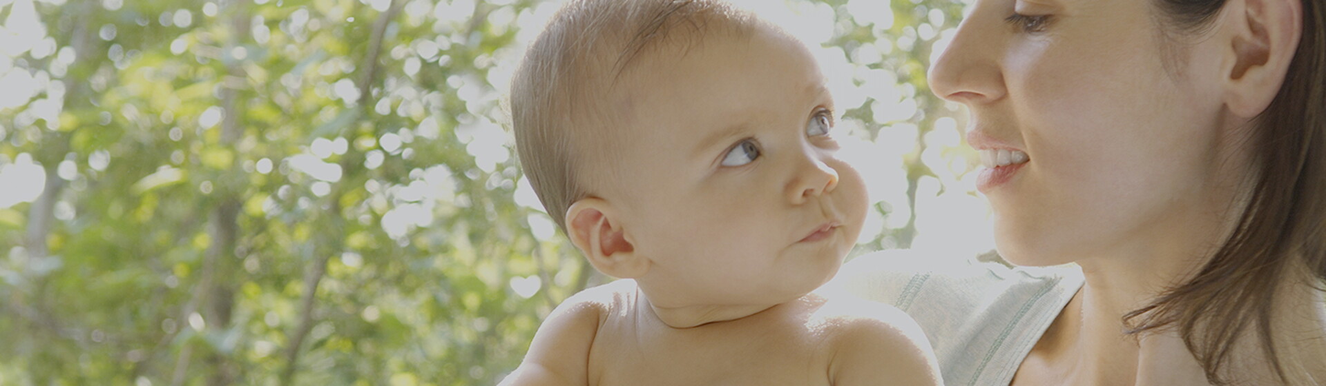 6 to 8 months